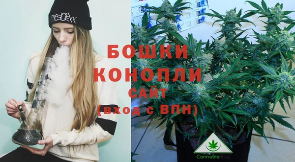 стафф Магадан