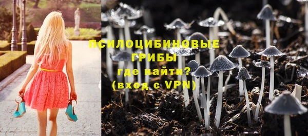 стафф Магадан
