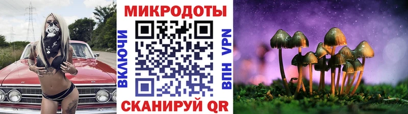как найти наркотики  Холм  МЕГА зеркало  Галлюциногенные грибы Psilocybe 