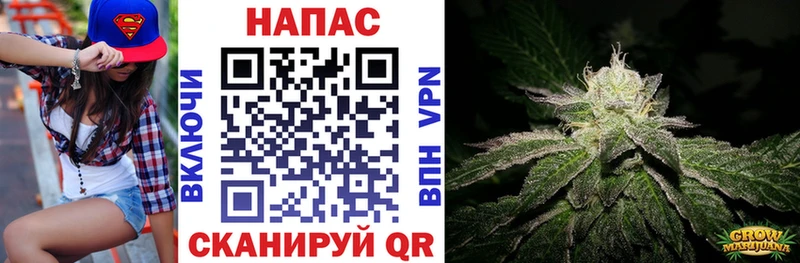 где купить наркотик  ОМГ ОМГ ссылка  Марихуана тримм  Холм 